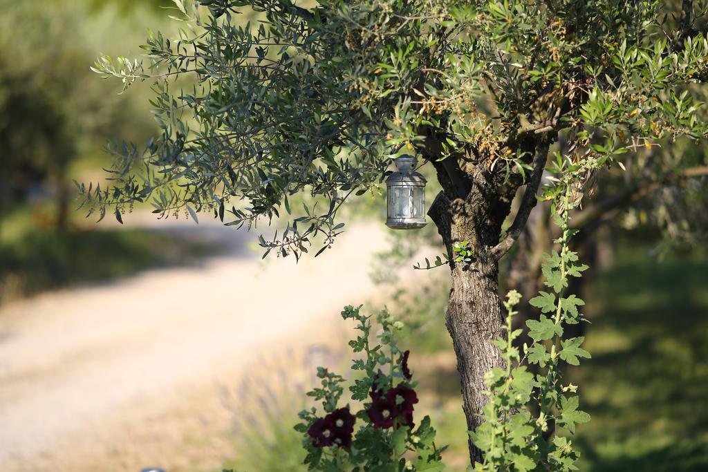 Le Mas En Provence Bed & Breakfast Entrechaux Exterior photo